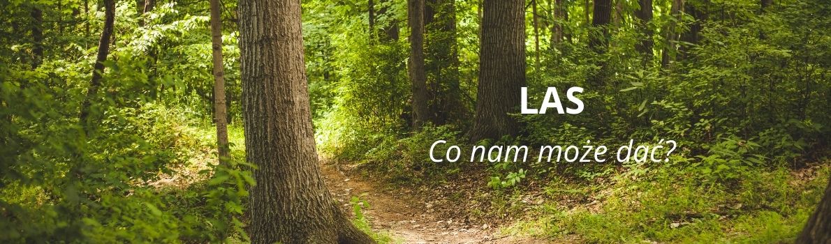 LAS - Co nam może dać?